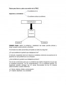 Terapia Racional Emotiva Conductual