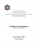 Hipótesis de Antropogénesis. Hombre, sociedad y tecnología