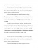 CARACTERISTICAS DE UN SISTEMA DE PRODUCCION