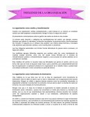 La organización como cambio y transformación