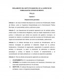 Reglamento Instituto de la Juventud