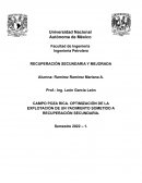 CAMPO POZA RICA. OPTIMIZACIÓN DE LA EXPLOTACIÓN DE UN YACIMIENTO SOMETIDO A RECUPERACIÓN SECUNDARIA