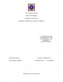 COMO NOS COMUNICAMOS POR LAS REDES SOCIALES