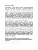 La Importancia de un LNCI para la SECTUR México