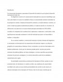 ESTRATEGIAS DE SUSTENTABILIDAD XICHU