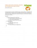 Análisis, Generación, Evaluación y Selección de Estrategias para Grupo La Comer