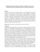 OPTIMIZACIÓN DE SEGURIDAD, ECONÓMICA Y AMBIENTAL APLICADA A TRES PROCESOS PARA LA PRODUCCIÓN DE SILICIO DE GRADO SOLAR