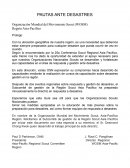 Pautas ante desastres