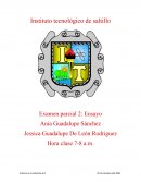 Ensayo fuentes disruptivas