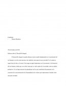 Informe sobre el Desarrollo Integral