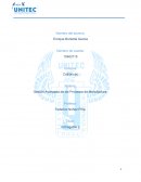 Gestión Avanzada de los Procesos de Manufactura.Análisis ABC para la empresa AVEC