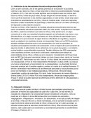 Definición de las Necesidades Educativas Especiales (NEE)