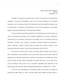 Ensayo Río Pamplonita