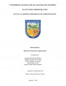 Diseño de la Estructura Organizacional