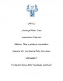 Fundación Carlos Slim “Auxiliares auditivos”