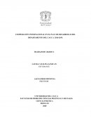 COOPERACIÓN INTERNACIONAL EN EL PLAN DE DESARROLLO DEL DEPARTAMENTO DEL CAUCA 2016-2019