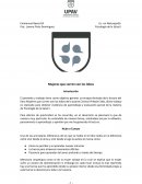 Mujeres que corren con los lobos