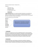 LAZZOS COMERCIALES S.A.C