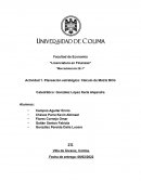 Planeación estratégica: Cálculo de Matriz BCG