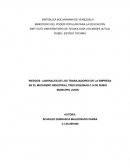 RIESGOS LABORALES DE LOS TRABAJADORES DE LA EMPRESA EN EL MATADERO INDUSTRIAL TRES ESQUINAS C.A DE RUBIO MUNICIPIO JUNIN
