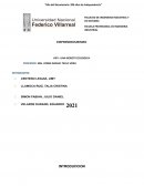 Kipi el robot quechua hablante