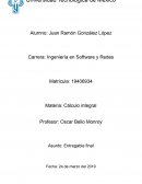 PROGRAMAS DE INGENIERÍA CÁLCULO INTEGRAL