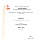 Principios doctrinarios y principios constitucionales de los impuestos