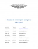 Sistema de control para la empresa