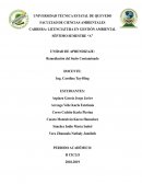 MEDIDAS BIOCORRECTIVAS IN-SITU