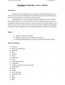 Anatomía patológica y citodiagnóstico Práctica 4. Inclusión, corte y tinción