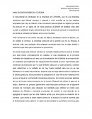 ANALISIS MEGAFABRICAS CORONA