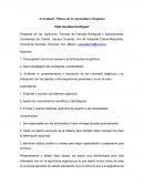 Pilares de la agricultura orgánica