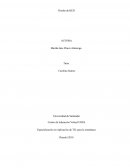 RECURSOS DIGITALES. Diseño de RED