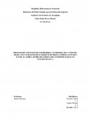 PROCESO DE ATENCION DE ENFERMERIA A PUERPERA DE 17 AÑOS DE EDAD