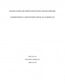 LOS BIOFILTROS EN LA DESCONTAMINACIÓN DE AGUAS RESIDUALES