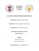 Caso Practico Entorno Economico Internacional
