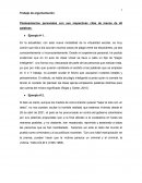 EJEMPLOS DE ARGUMENTACION