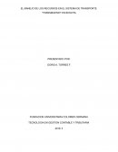 EL MANEJO DE LOS RECURSOS EN EL SISTEMA DE TRANSPORTE “TRANSMILENIO” EN BOGOTA