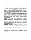 Habilidades Directivas