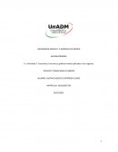 U.1 Actividad 2. Ecuaciones, funciones y gráficas lineales aplicados a los negocios