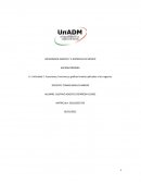 U.1 Actividad 2. Ecuaciones, funciones y gráficas lineales aplicados a los negocios