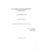 DISEÑO DE UN TRAMO DE VIA LONGITUD 2 Km