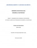 EJEMPLOS DE PROBLEMAS DE DESARROLLO SUSTENTABLE