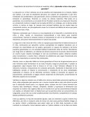 Importancia de incentivar la lectura en nuestros niños: ¿Aprender a leer o leer para aprender?