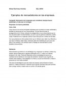 Ejemplos de mercadotecnia en las empresas