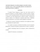 Aproximación diagnóstica a los modelos pedagógicos