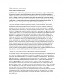 Trabajo colaborativo inclusión social