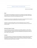 Análisis a los ¨Elementos¨ del concepto de Estado