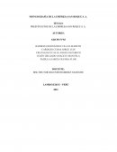 MONOGRAFIA DE PRESUPUESTOS SAN ROQUE S. A