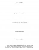 Politicas, Apple 2013